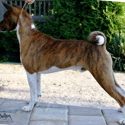 Rone 10 20180701 1101895481