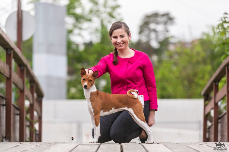 After a while without updating the website, super news Goldi is INTERCHAMPION from now !!!