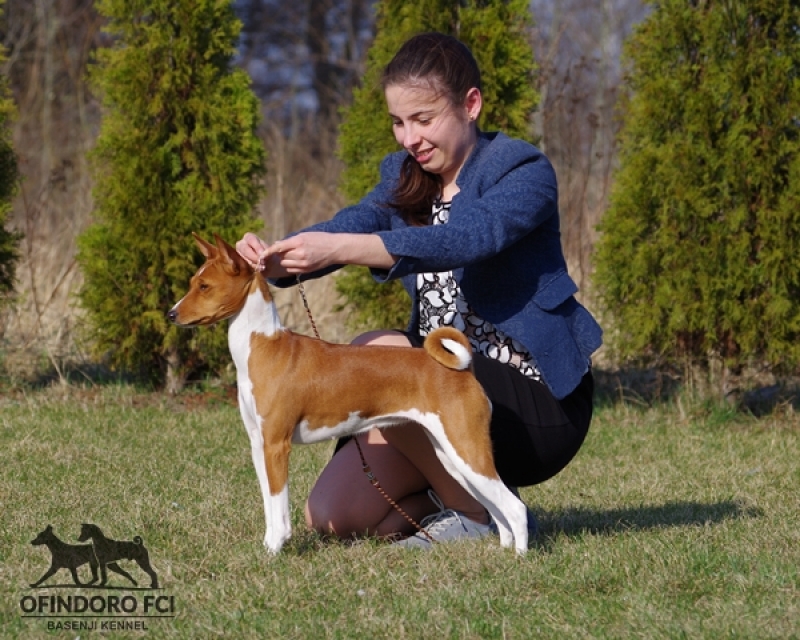 07-08.04.18 CACIB Salzburg i CACIB Warsaw