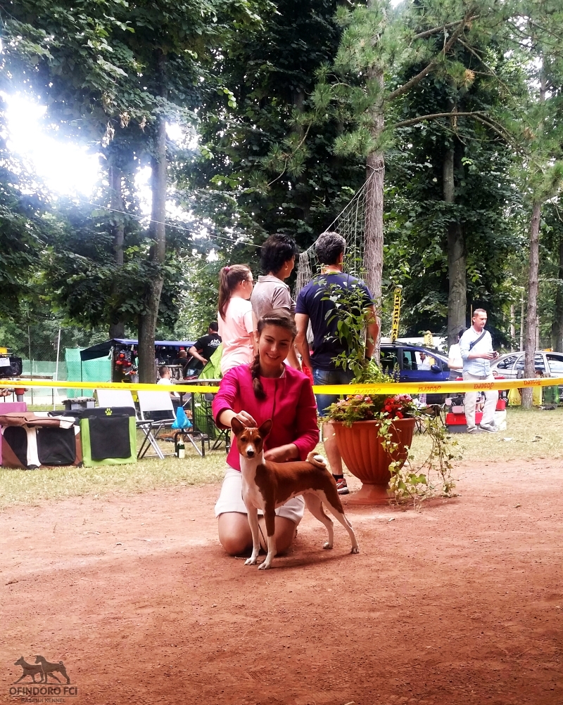 14-15.07.18 CACIB Oberwart (AT), Night CAC i CACIB Szombatheley (HU)